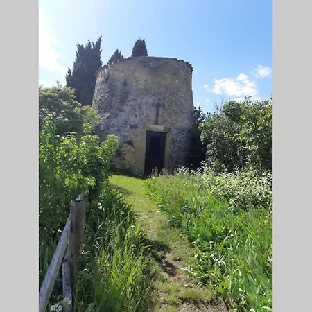 Dans Un Cadre Champetre * Mas-Saintes-Puelles