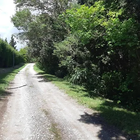 Dans Un Cadre Champetre Mas-Saintes-Puelles