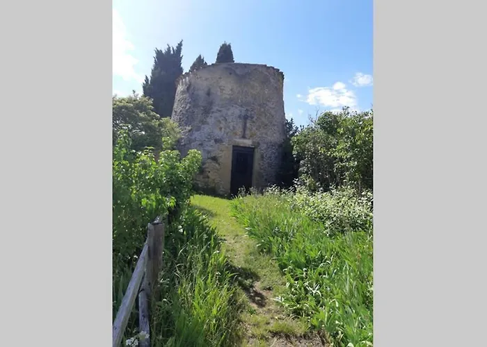 Dans Un Cadre Champetre * Mas-Saintes-Puelles