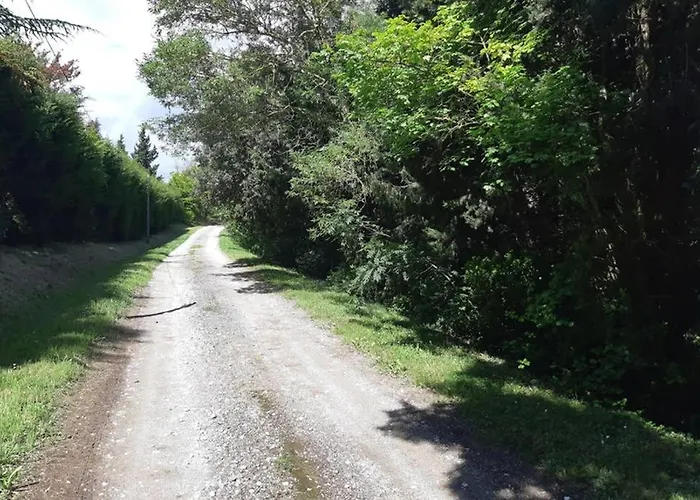 Dans Un Cadre Champetre Mas-Saintes-Puelles